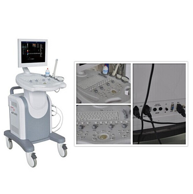 <b>PL-6018I Trolley Color Doppler</b>